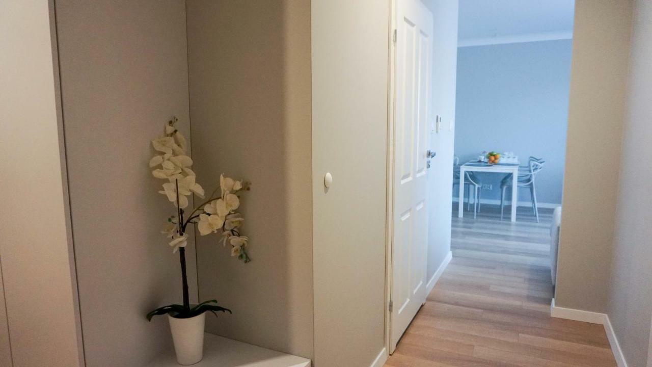 Apartament Olimp Gorzów Wielkopolski Eksteriør billede
